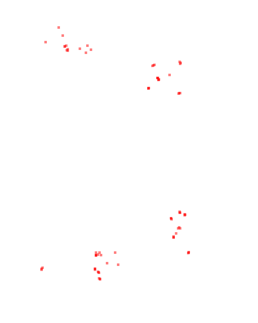 ظهور نمر جائع (بوينغمو).png