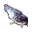 سمك السلور.png