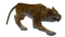 نمر (خريطة الليكانر).png