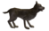 كلب برّي (خريطة الليكانر).png