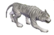 نمر أبيض (خريطة الليكانر).png