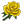 وردة صفراء.png