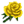 وردة صفراء.png