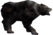 دب أسود (خريطة الليكانر).png