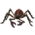 عنكبوت سام ذو مخالب.png